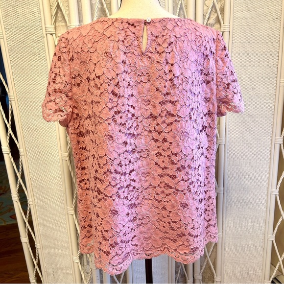 Talbots Top Dusty Rose Lace Blouse Short Sleeve Lined Scallop Hem Plus size 18W - Picture 5 of 15